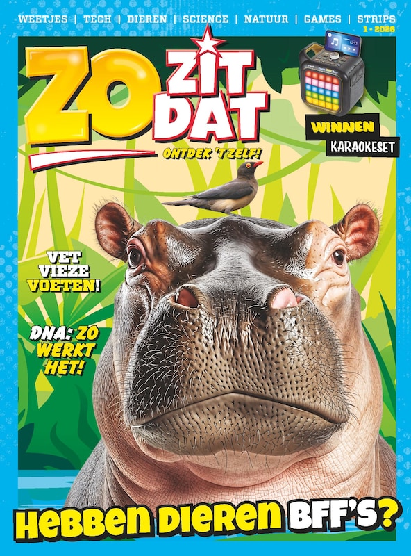 Cover van Zo Zit Dat
