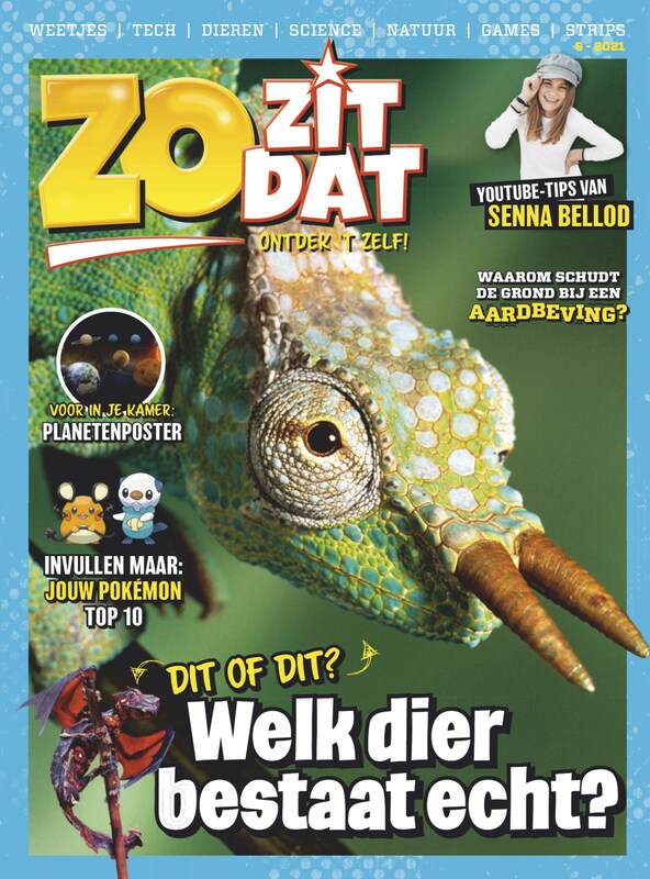 Cover van Zo Zit Dat