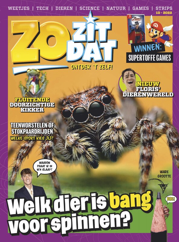 Cover van Zo Zit Dat