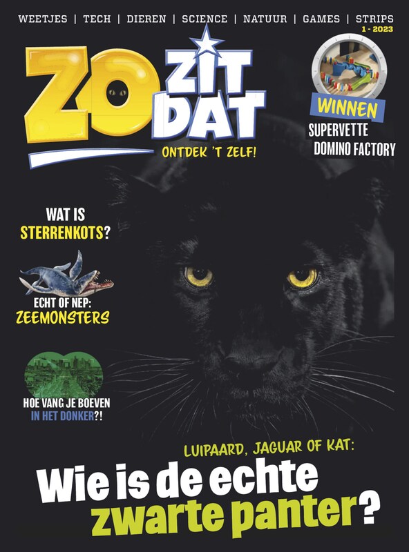 Cover van Zo Zit Dat