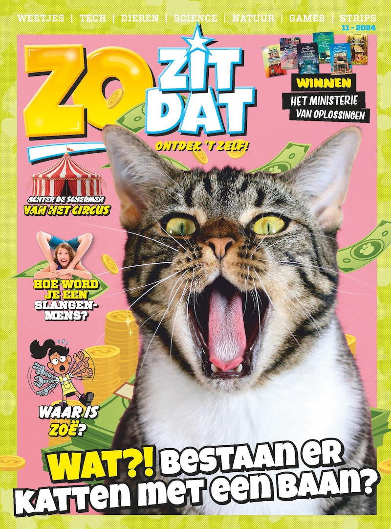 Cover van Zo Zit Dat