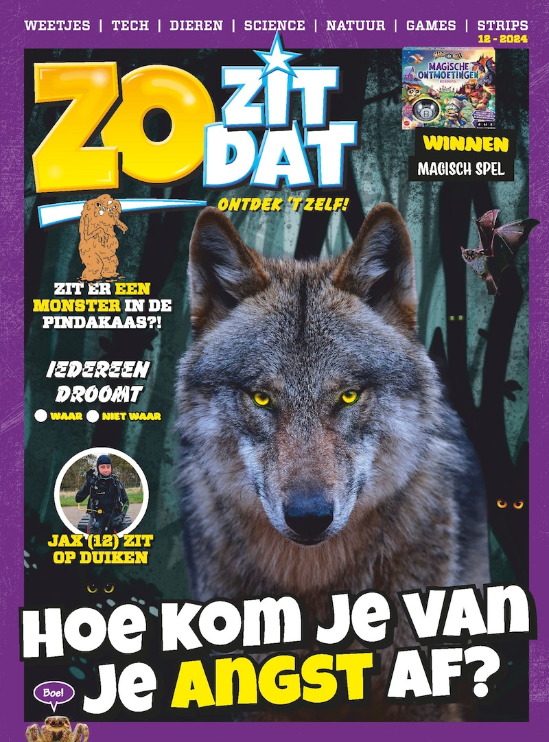 Cover van Zo Zit Dat