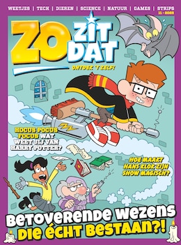 Cover van Zo Zit Dat