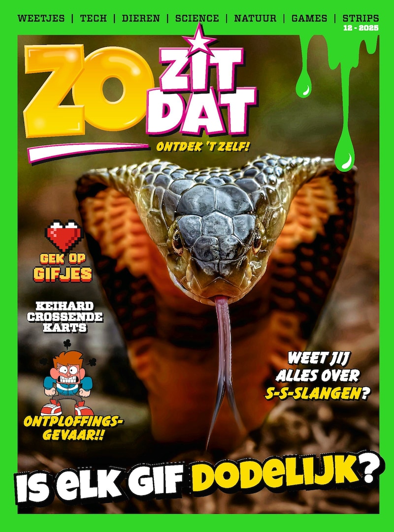 Cover van Zo Zit Dat