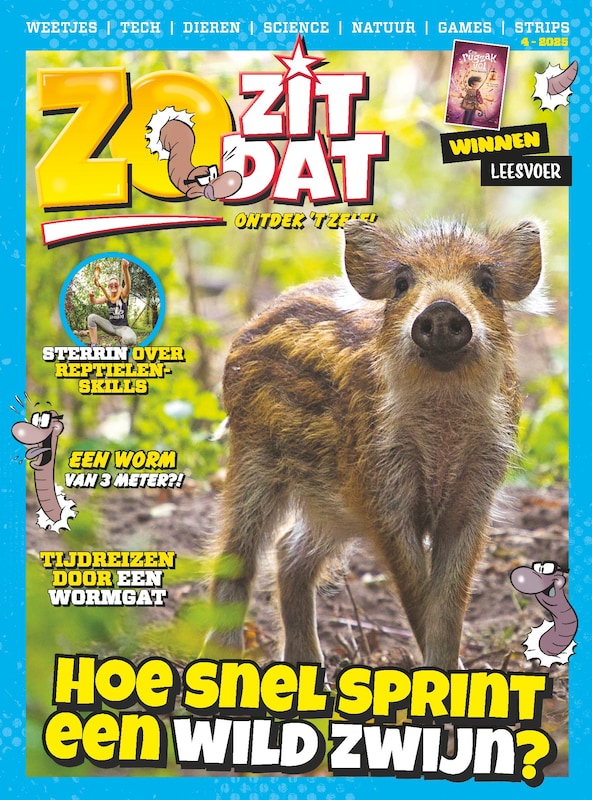 Cover van Zo Zit Dat