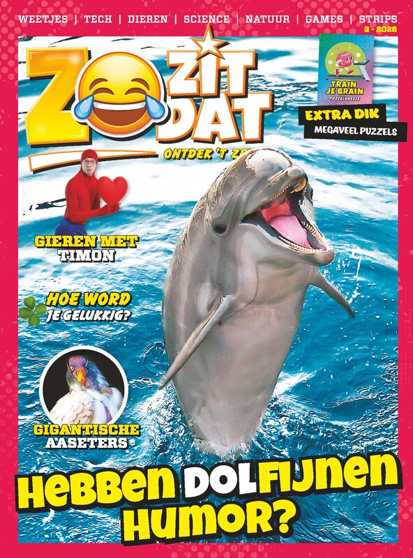Cover van Zo Zit Dat