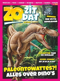 Cover van Zo Zit Dat