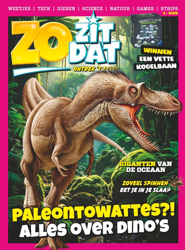 Cover van Zo Zit Dat