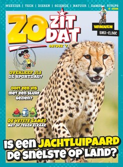 Cover van Zo Zit Dat
