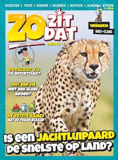 Cover van Zo Zit Dat