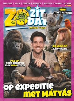 Cover van Zo Zit Dat