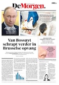 De Morgen afbeelding