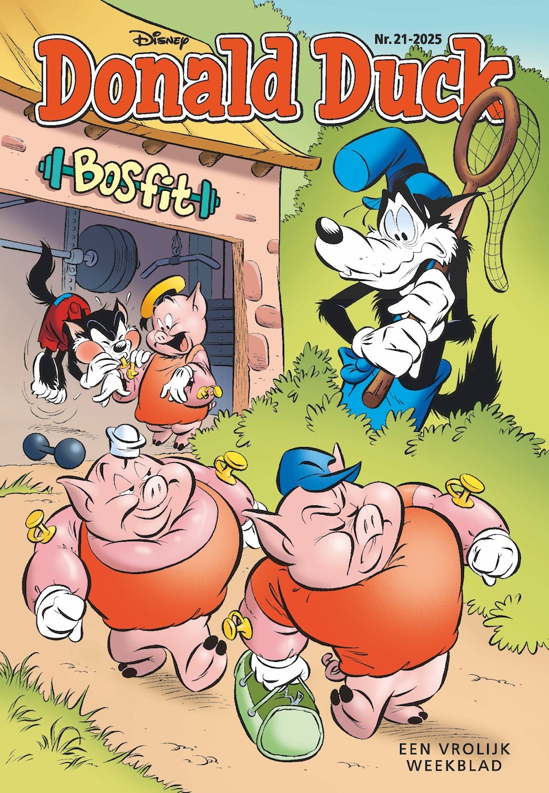 Cover van Donald Duck