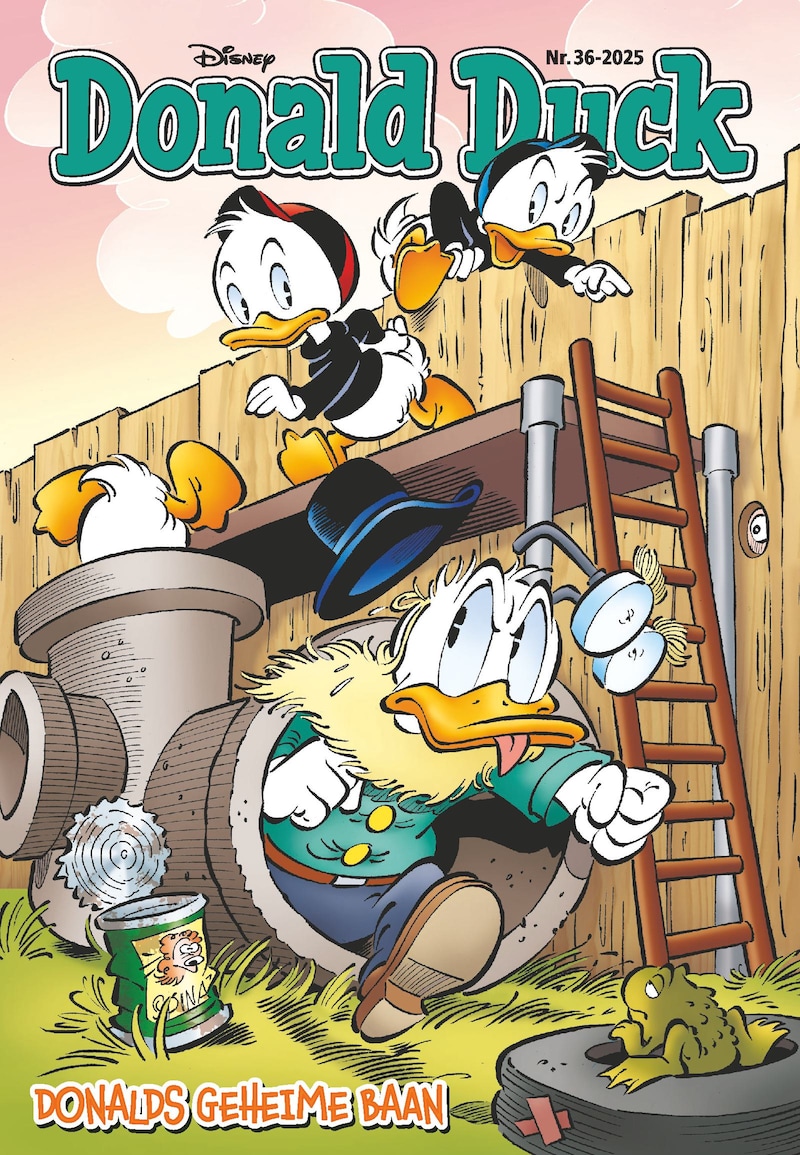 Cover van Donald Duck
