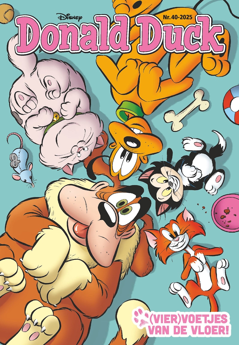 Cover van Donald Duck