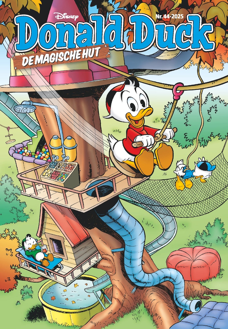 Cover van Donald Duck