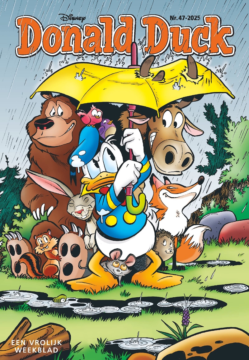 Cover van Donald Duck