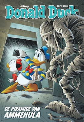 Bijbehorende cover voor Vrolijk Donald Duck-strandpakket