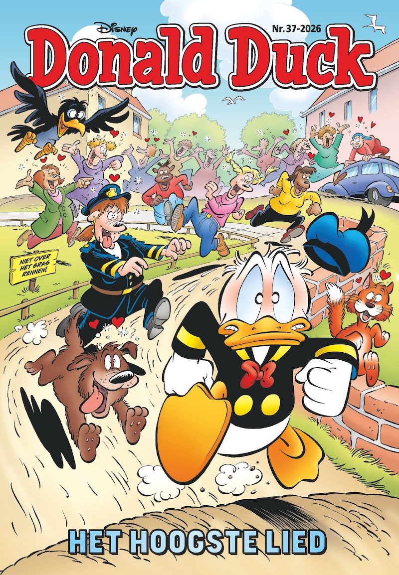 Donald Duck