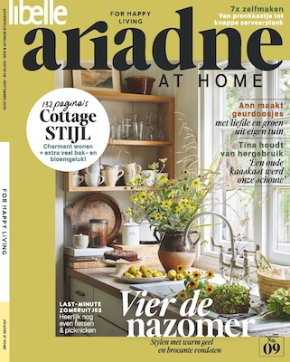 Bijbehorende cover voor Gratis thriller van Suzanne Vermeer