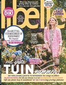 Libelle 13-2026 afbeelding