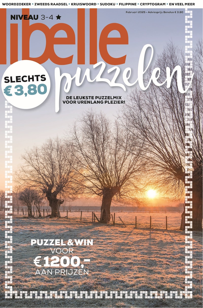 Libelle Puzzelen